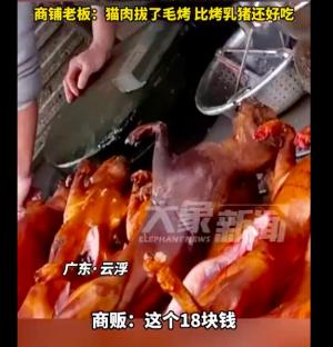 整只猫肉烧烤售卖，黑色产业链惊人曝光！