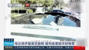 单亲妈妈从7楼狂扔女儿物品获刑，为何构成是故意毁坏财物罪？-图2