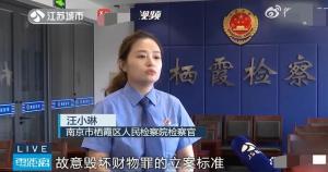 单亲妈妈从7楼狂扔女儿物品获刑，为何构成是故意毁坏财物罪？-图3