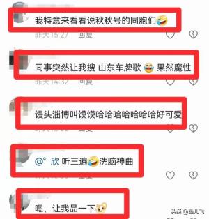 山东车牌之歌爆火网络，网友：很山东，很魔性！  第3张