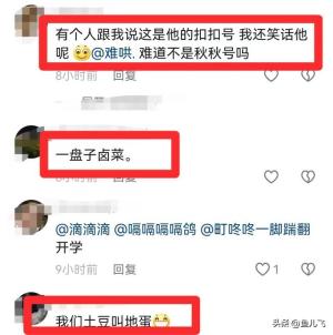 山东车牌之歌爆火网络，网友：很山东，很魔性！