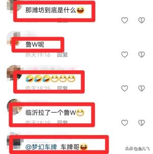 山东车牌之歌爆火网络，网友：很山东，很魔性！