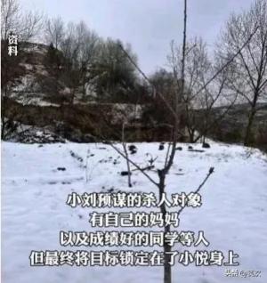 甘肃定西13岁男孩残杀8岁女童案开庭，法院：无死刑，最多无期！