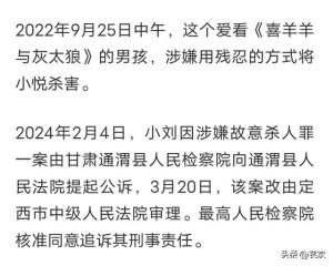 甘肃定西13岁男孩残杀8岁女童案开庭，法院：无死刑，最多无期！