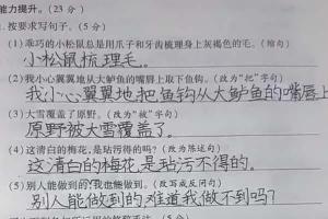 小学生试卷上字迹让老师都羡慕，书写工整严谨，赢得老师“芳心”  第8张