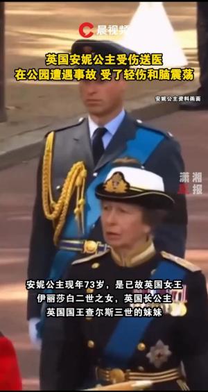 英国安妮公主受伤送医：在公园遭遇事故，受了轻伤和脑震荡  第3张