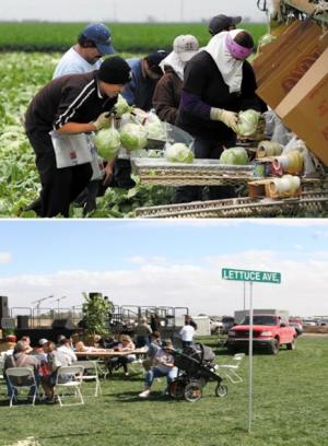 国外艺术振兴乡村案例：美国世界生菜之都-生产产业大县