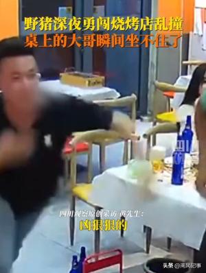 野猪莽撞冲入饭店两顾客兴奋追打，平时打要坐牢，现在不打白不打  第4张