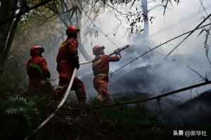 劳动者之歌-云南省森林消防总队特勤大队：“刀山敢上，火海敢闯”  第1张