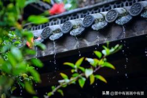 游客懵了，江浙沪皖的梅雨季节“难住了外地游客”