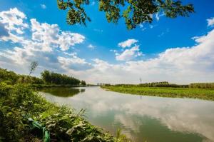 在武清，沿着大运河来一场“River Walk”吧