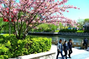 在武清，沿着大运河来一场“River Walk”吧  第12张