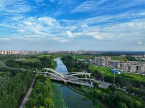 在武清，沿着大运河来一场“River Walk”吧  第14张