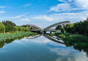 在武清，沿着大运河来一场“River Walk”吧  第16张