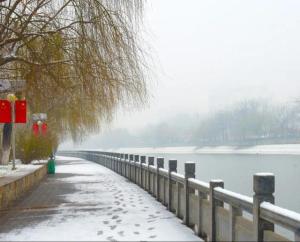 在武清，沿着大运河来一场“River Walk”吧  第32张