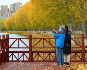 在武清，沿着大运河来一场“River Walk”吧  第42张