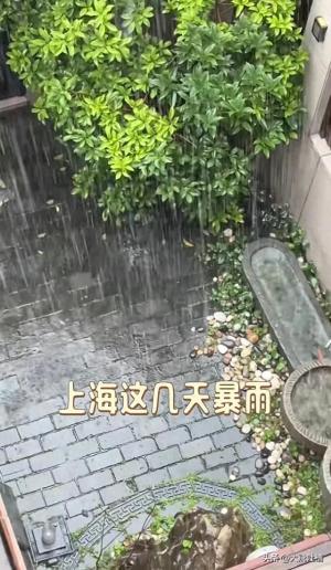 被上海暴雨控住的家：陈龙在家“打伞避雨”，陈赫家像“水帘洞”