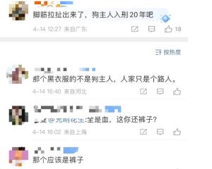 引众怒！恶犬撕咬女孩不松口，狗主人跪地 道歉，医疗费高达八万-图5