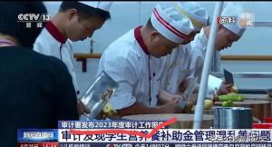 触目惊心！66个县挪用农村学生营养餐补20亿亿用于还政府债