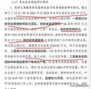 触目惊心！66个县挪用农村学生营养餐补20亿亿用于还政府债  第3张