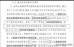 闹大了！66个县挪用近20亿学生餐补：丑闻震惊全国，舆论沸腾-图4