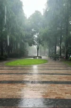 全国第一！上海今天的雨好大好大！上海暴雨都直接冲上热搜了-图4