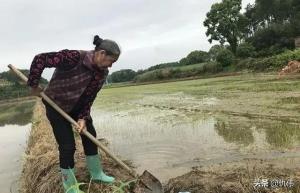 后续！湖南一家四口遇害，不光因为宅基地，另外两件事是导火索！