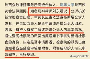 法不护法！著名女律师团贵阳法院遭暴力执法，求助声明曝天下奇闻  第12张