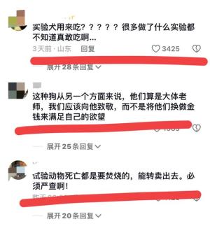 看得人发麻！全身溃烂、遍布针孔，江苏7吨冷冻实验犬被当狗肉卖