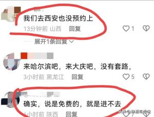 吃相难看，免费开放的陕西历史博物馆，黄牛高价倒卖门票变相收费  第5张