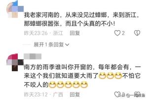 北方人在南方被满屋虫子惊呆了，网友：这是北方人最害怕的一集  第3张