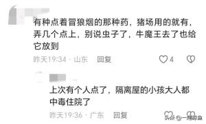 北方人在南方被满屋虫子惊呆了，网友：这是北方人最害怕的一集  第7张