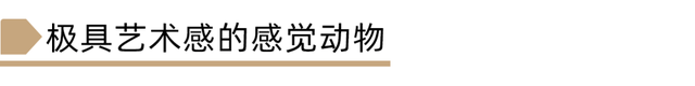 “MBTI”人格测试火了！快来测测你的真实性格！准到离谱...  第13张