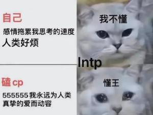 “MBTI”人格测试火了！快来测测你的真实性格！准到离谱...  第40张