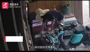 两男子在宠物医院遗弃28只猫冲上热搜，网友积极评论