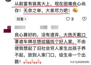 两男子在宠物医院遗弃28只猫冲上热搜，网友积极评论