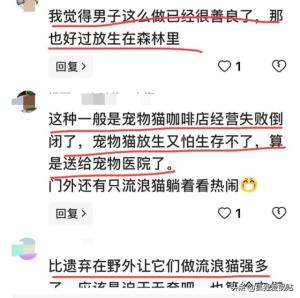 两男子在宠物医院遗弃28只猫冲上热搜，网友积极评论