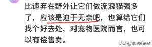 两男子在宠物医院遗弃28只猫冲上热搜，网友积极评论  第10张