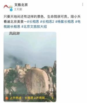 杨紫金句燃爆文旅界，新梗女王加冕传奇！  第2张