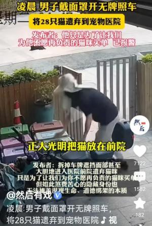 纳闷！遗弃原因惹网民猜测！两男子宠物医院弃28只猫，全程戴口罩