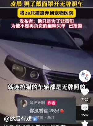 纳闷！遗弃原因惹网民猜测！两男子宠物医院弃28只猫，全程戴口罩