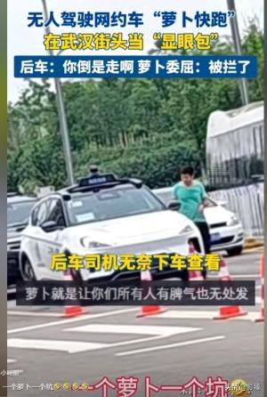 闹大了！萝卜快跑会是一个萝卜一个坑吗？网友：这是个苕皮笨萝卜