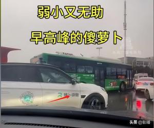 闹大了！萝卜快跑会是一个萝卜一个坑吗？网友：这是个苕皮笨萝卜