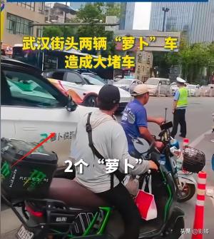 闹大了！萝卜快跑会是一个萝卜一个坑吗？网友：这是个苕皮笨萝卜  第9张