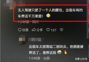 闹大了！萝卜快跑会是一个萝卜一个坑吗？网友：这是个苕皮笨萝卜  第11张