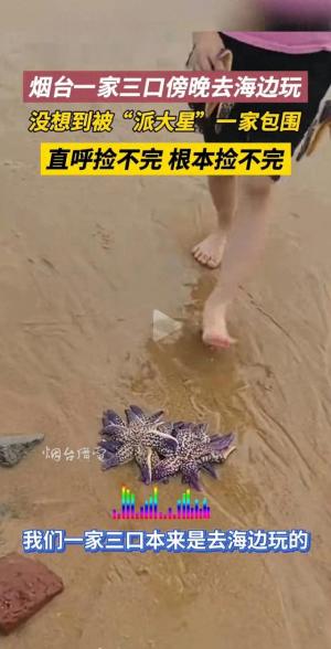 海边奇遇，一家三口与海星的浪漫邂逅