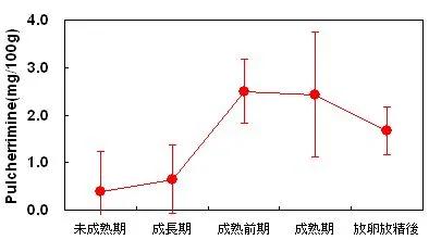 马粪海胆和紫海胆 - 吃了番茄和卷心菜的紫海胆后来怎么样了？-图12